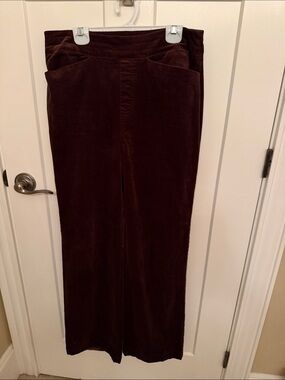 Brown Velvet DG2 by Diane Gilman Pull On Stretchy Boot Cut Pants, size 10